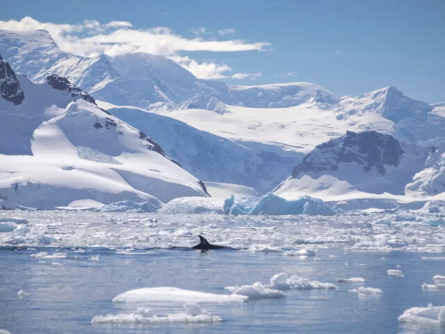 antarctic cruise map