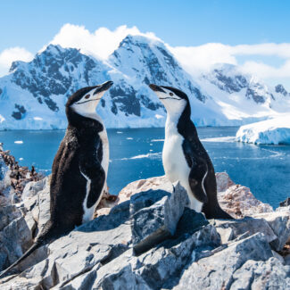 antarctica cruise deals