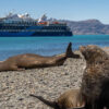 heritage cruises antarctica