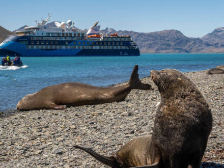 antarctic sail cruise