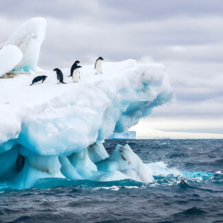 endeavour boat trip