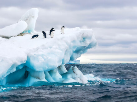 adventure tourism in antarctica