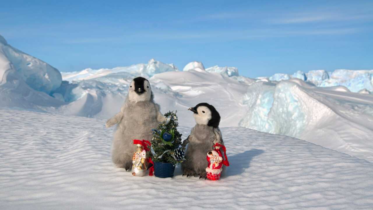 Young penguin chicks with Christmas decorations