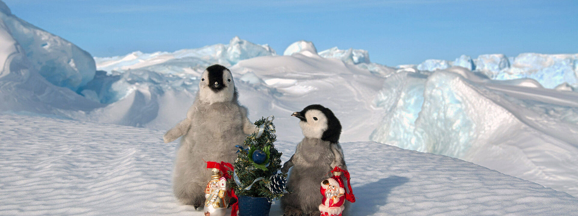 Young penguin chicks with Christmas decorations