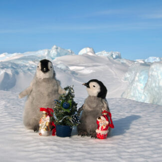 Young penguin chicks with Christmas decorations