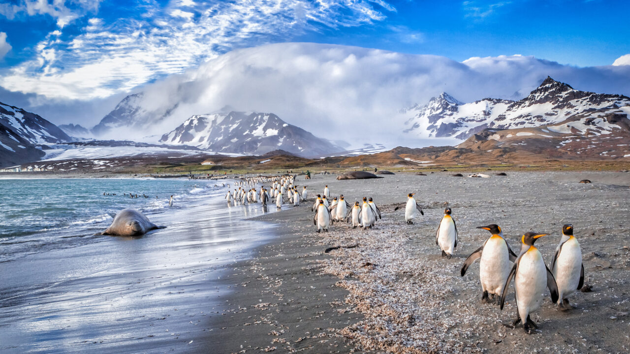 trip to antarctica from germany