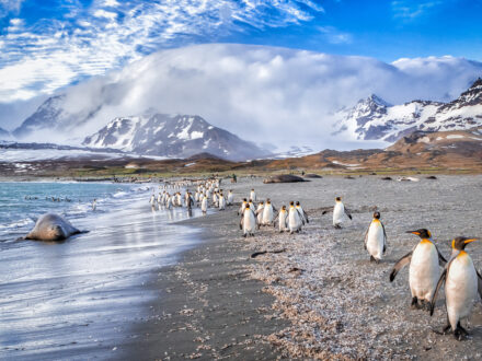 tourist spots in antarctica