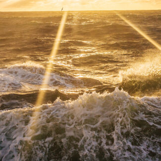 Sea swell in the morning sun