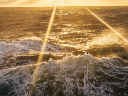 Sea swell in the morning sun