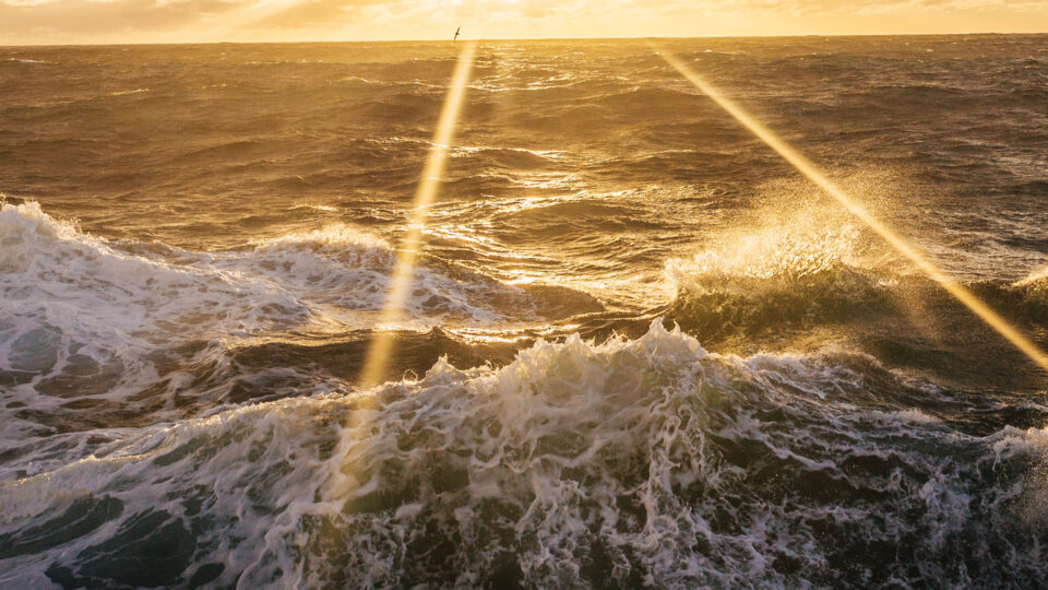 Sea swell in the morning sun