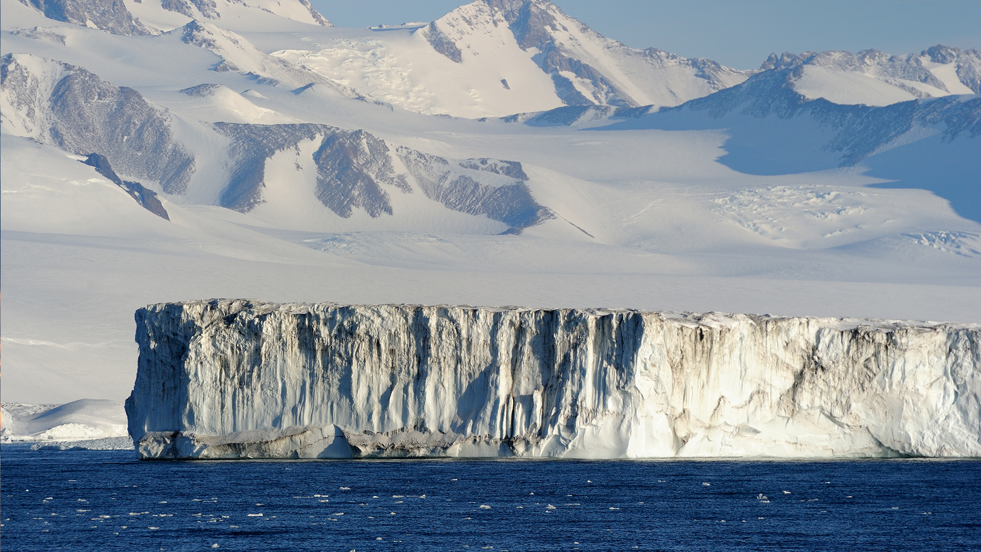 Ice shelf of the Ross Sea